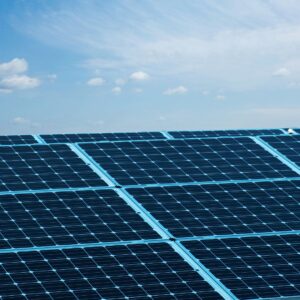 Remove term: 300 Watt solar panels in Australia