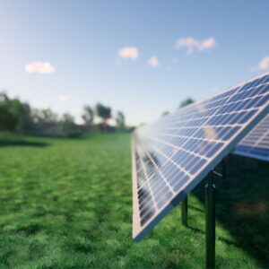 Buy 250 Watt Solar Panels Online at Best Price 