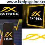 understanding-exness-servers-reliability-and_2.png