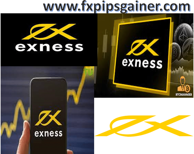 Understanding Exness Servers Reliability and Performance in Trading